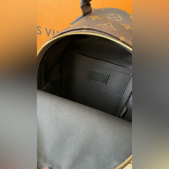 Louis Vuitton Palm Springs Mini - Picture 7 of 16